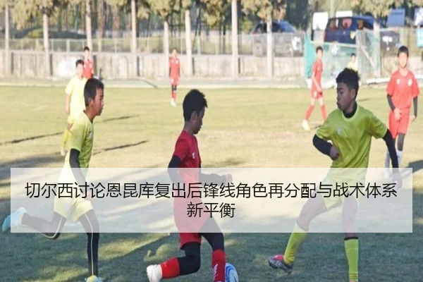 qie-er-xi-tao-lun-en-kun-ku-fu-chu-hou-feng-xian-jue-se-zai-fen-pei-yu-zhan-shu-ti-xi-xin-ping-heng-3-892.jpg